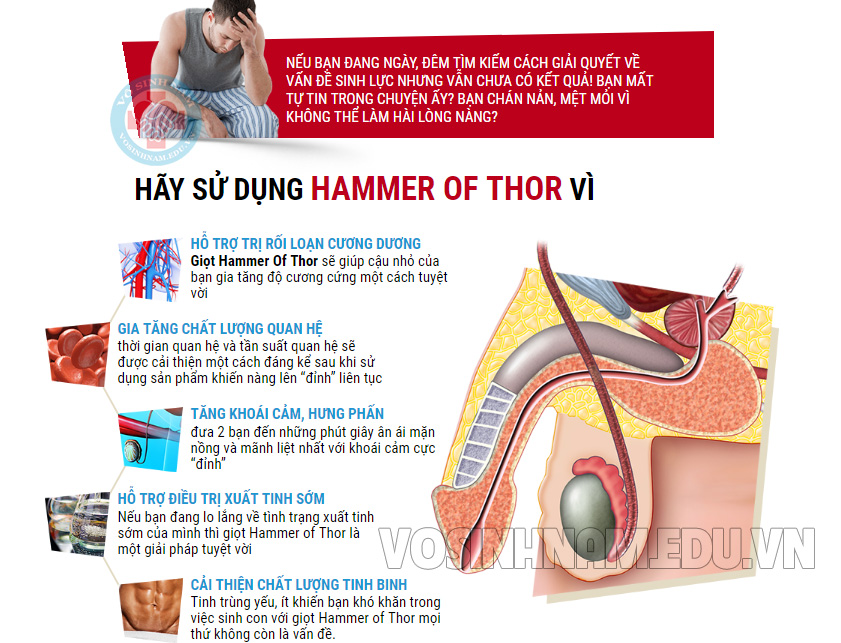 gel-hammer-of-thor gel-hammer-of-thor