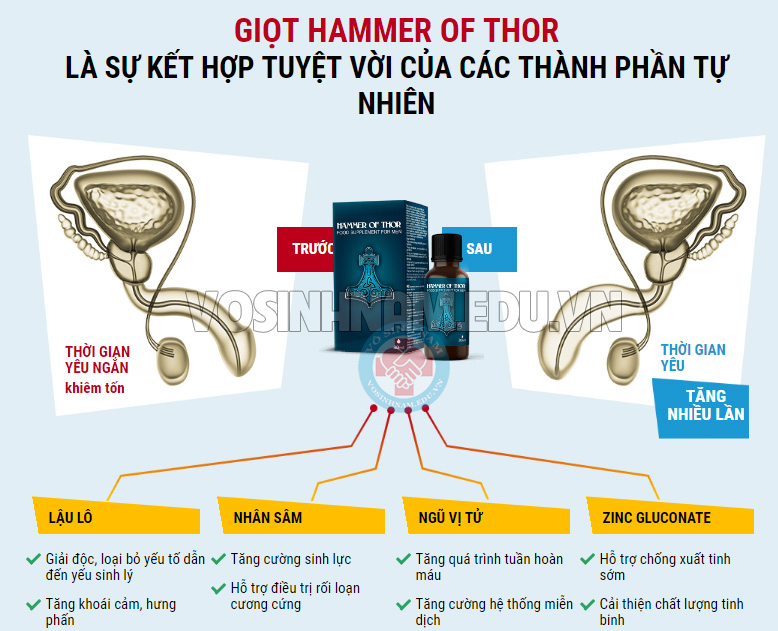 giọt dưỡng chất hammer of thor giọt dưỡng chất hammer of thor
