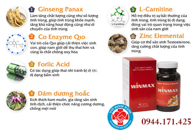 winmax-2