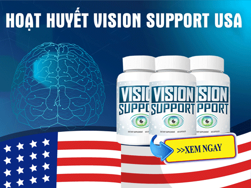 vision-support-usa-1