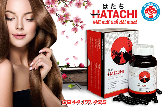 giới thiệu sản phẩm hatachi