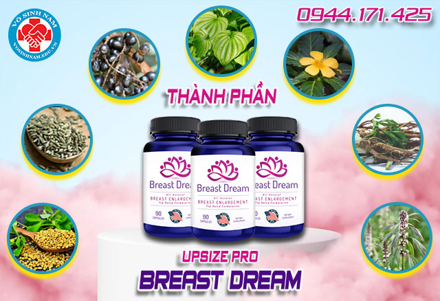 thành phần có trong sản phẩm upsize pro breast dream