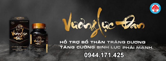 Giới thiệu Vương Lực Đan